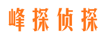 宁武市婚外情调查